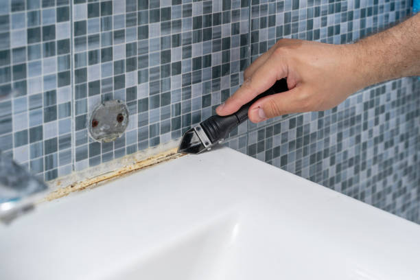  Dallas Center, IA Mold Removal Pros