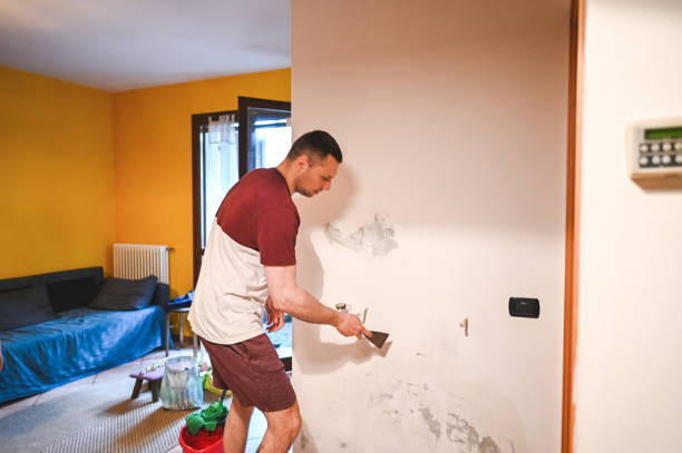 Best Toxic Mold Removal  in Dallas Center, IA